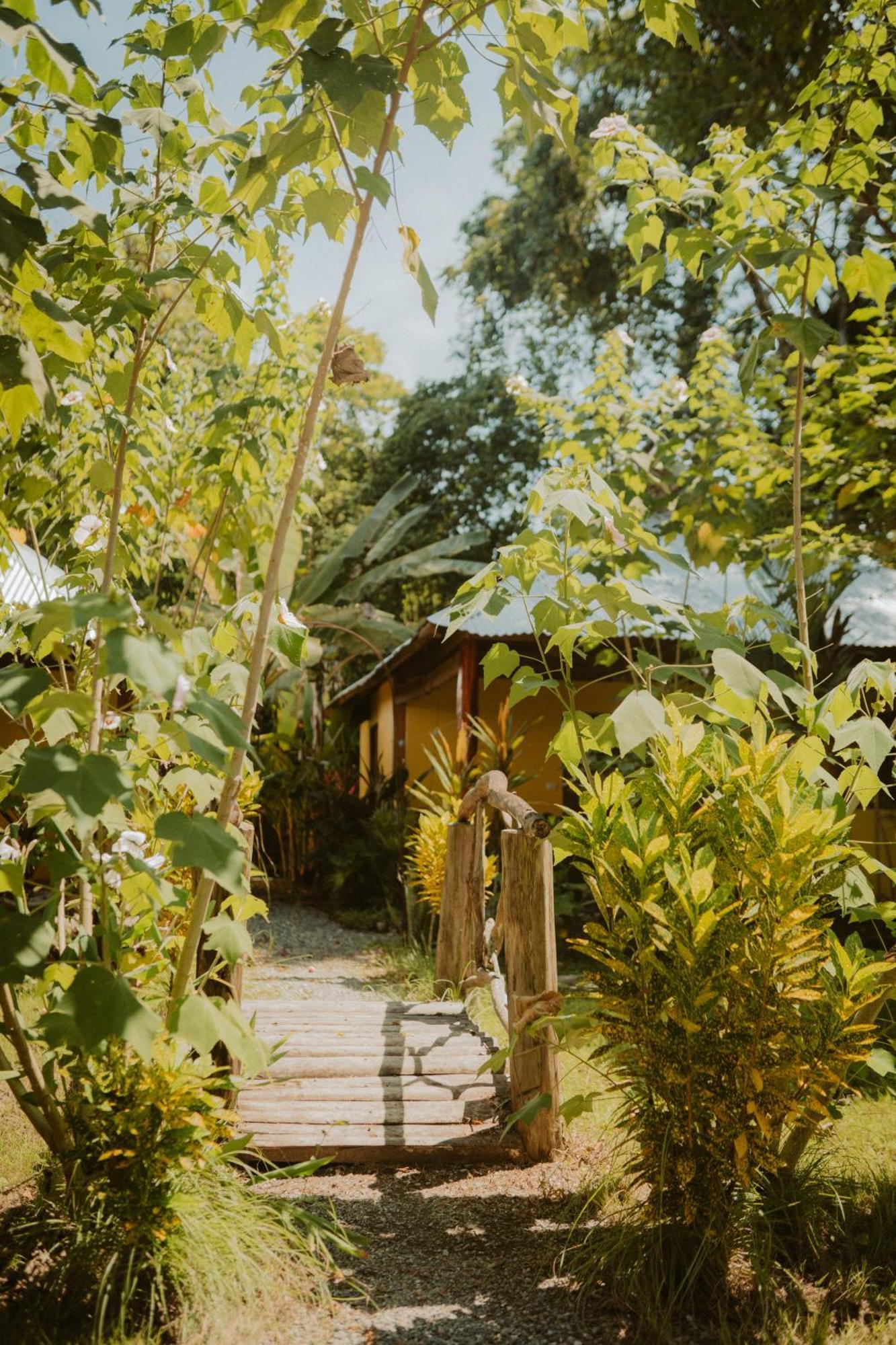 קאוויטה Casa De Los Amigos Caribena מראה חיצוני תמונה